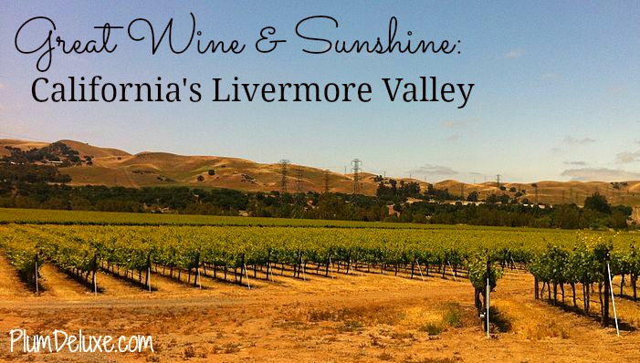 Livermore Valley Transit Authority Issues Creative RFP