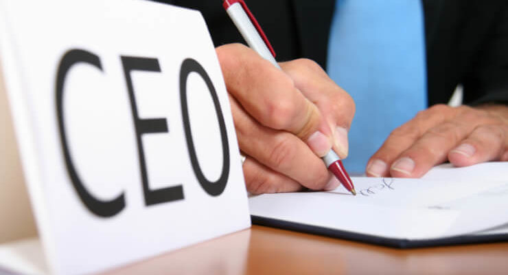 Some Qualities of Excelling CEOs