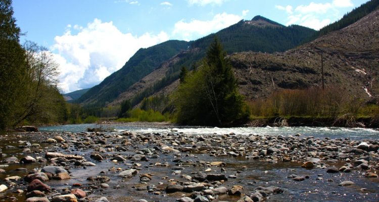 Clark County, Washington Seeking Lobbying Company