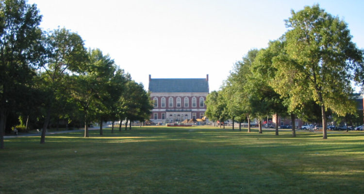 University of Maine Seeks Market Research Company