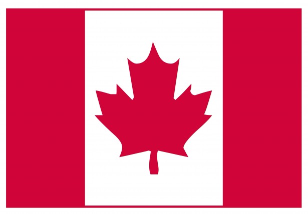 Canada Council for the Arts Issues Media Monitoring RFP