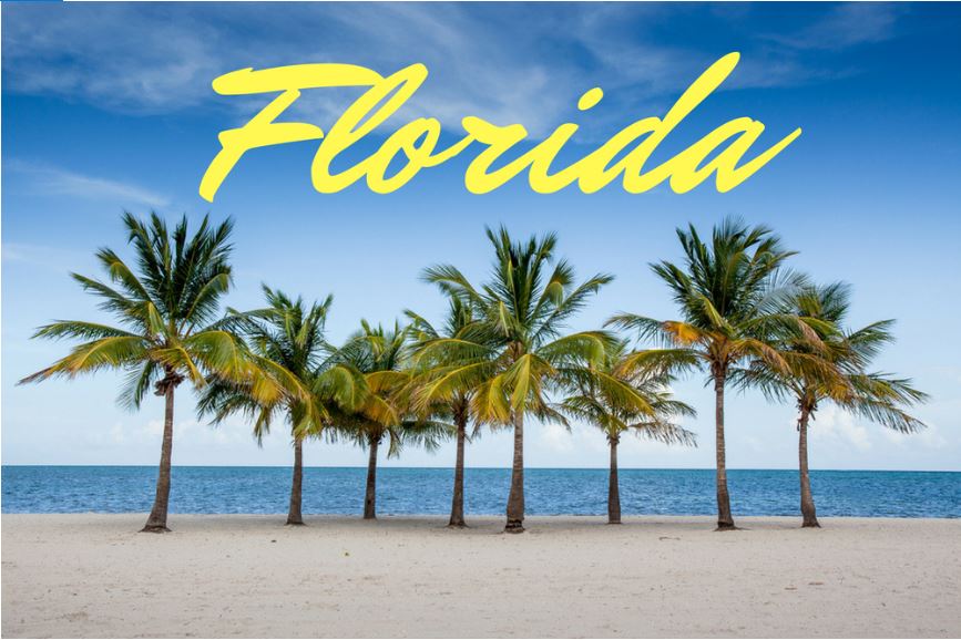 Visit Florida Seeks United States PR Agency