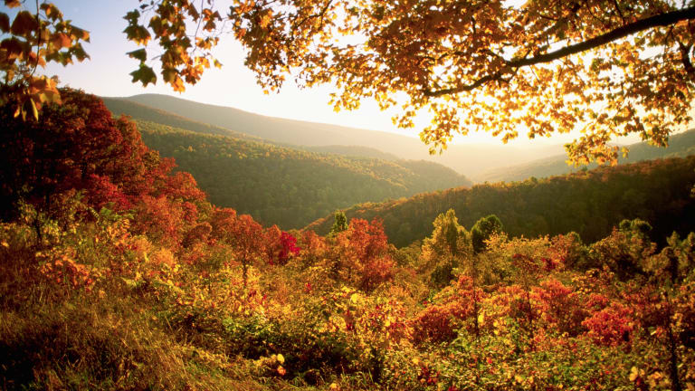 Market Research RFP Issued By Virginia