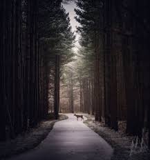 Columbus and Franklin County Metro Parks Issues Digital Media RFP