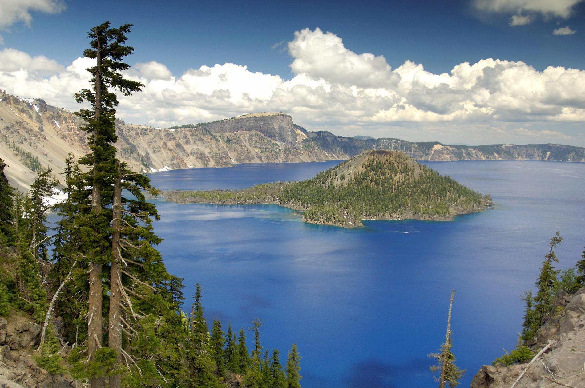 Media And Marketing RFP Issued By Energy Trust of Oregon