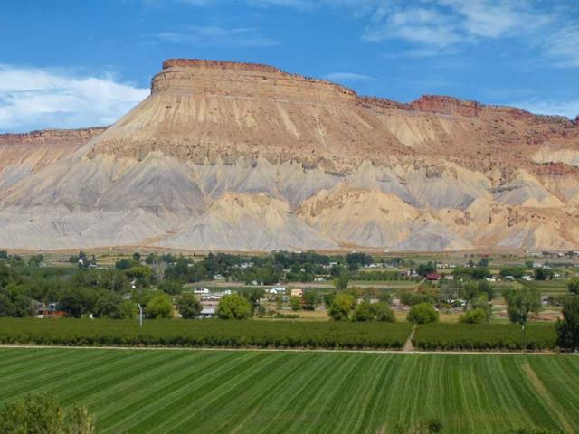 TOWN OF PALISADE REQUEST FOR PROPOSALS FOR TOURISM MARKETING SERVICES