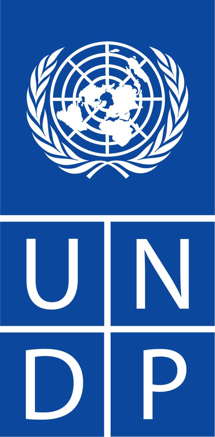 UNDP Seeks Market Research Company