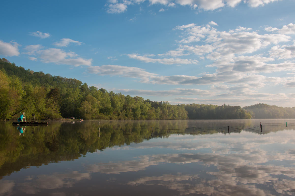 Southeastern Virginia Issues Website RFP