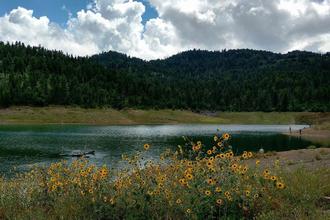 MARKETING NEEDED FOR VILLAGE OF RUIDOSO