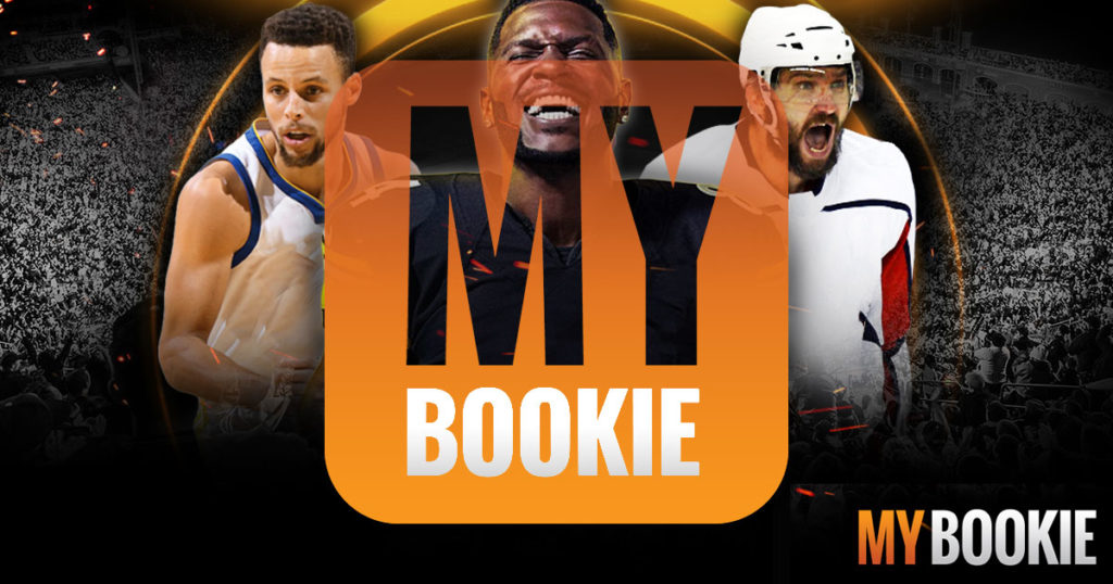 David Carruthers' My Bookie Website Summary