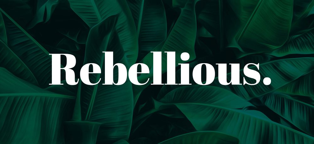 Rebellious PR & Consulting  Q & A