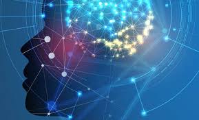 Personalized Portals As Gateway to Customer Success