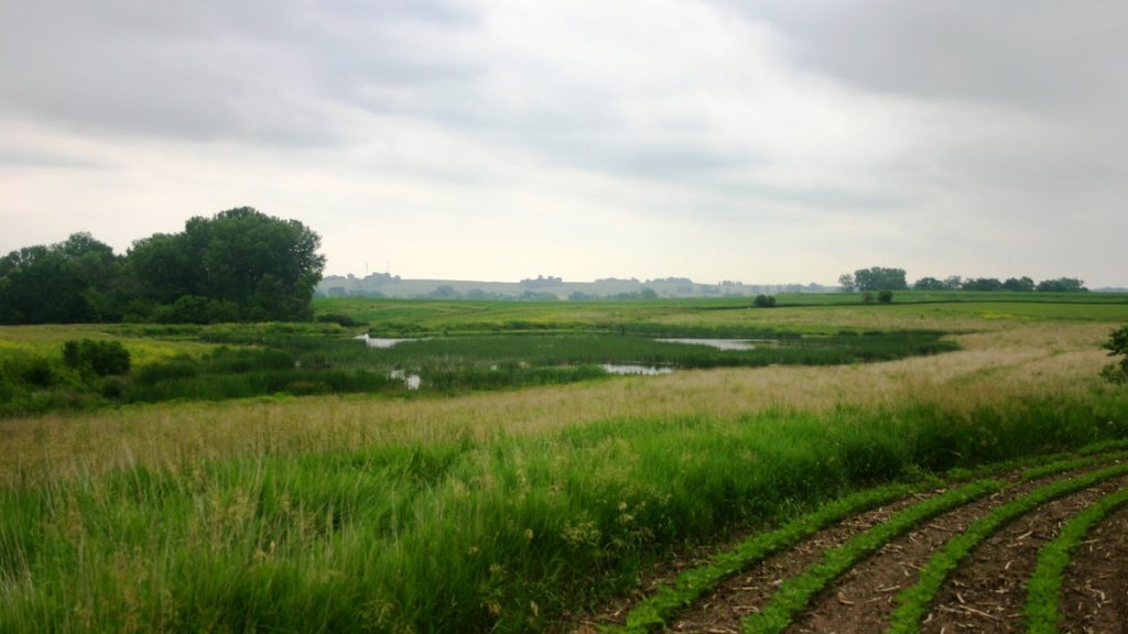 MARKETING RFP ISSUED BY IOWA DEPARTMENT OF AGRICULTURE