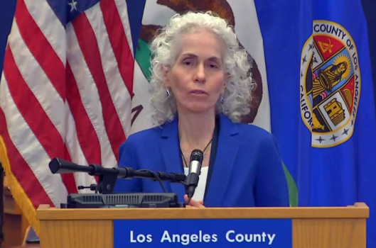 Publicity RFP Issued By LA Health Department