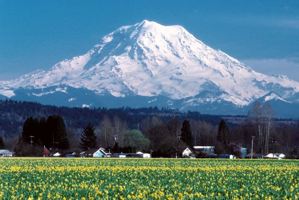 Branding RFP Issued By The City of Puyallup, Washington (City)
