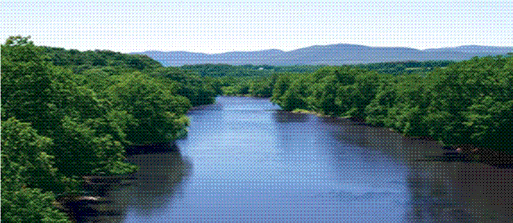 City of Spokane Purchasing Department Water Stewardship Media Campaign