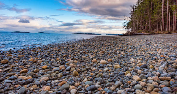 Communications RFP Issued By Town of Qualicum Beach