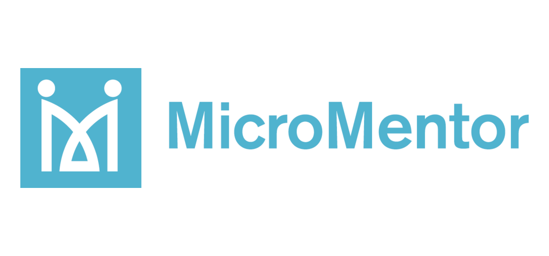 Marketing Consultant RFP Issued for MicroMentor