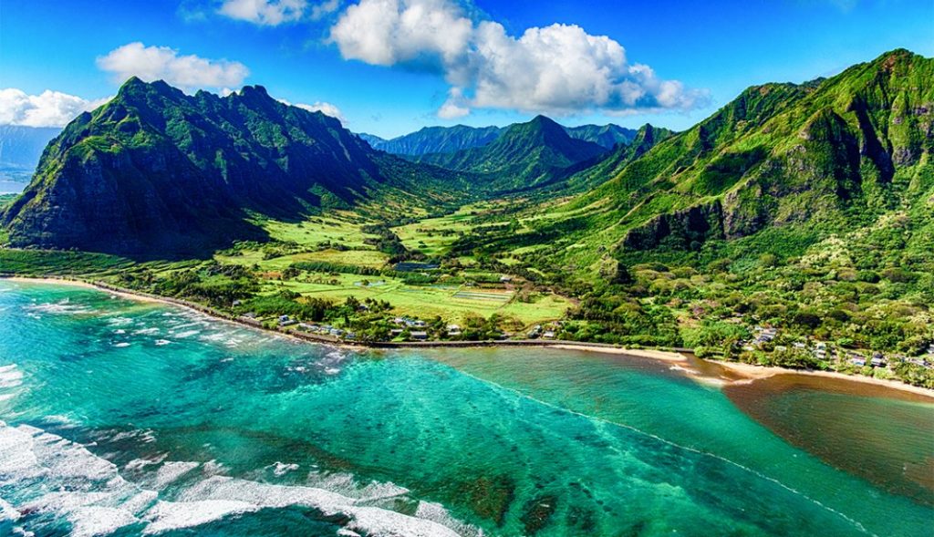 Market Research RFP Issued By Hawaii Department of Agriculture (HDOA)