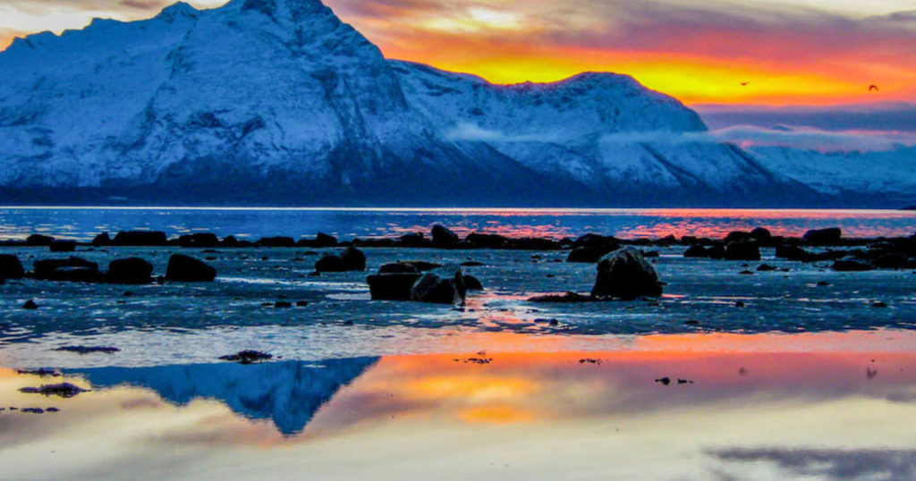 The Role of Business Schools in Climate Crisis Resolution