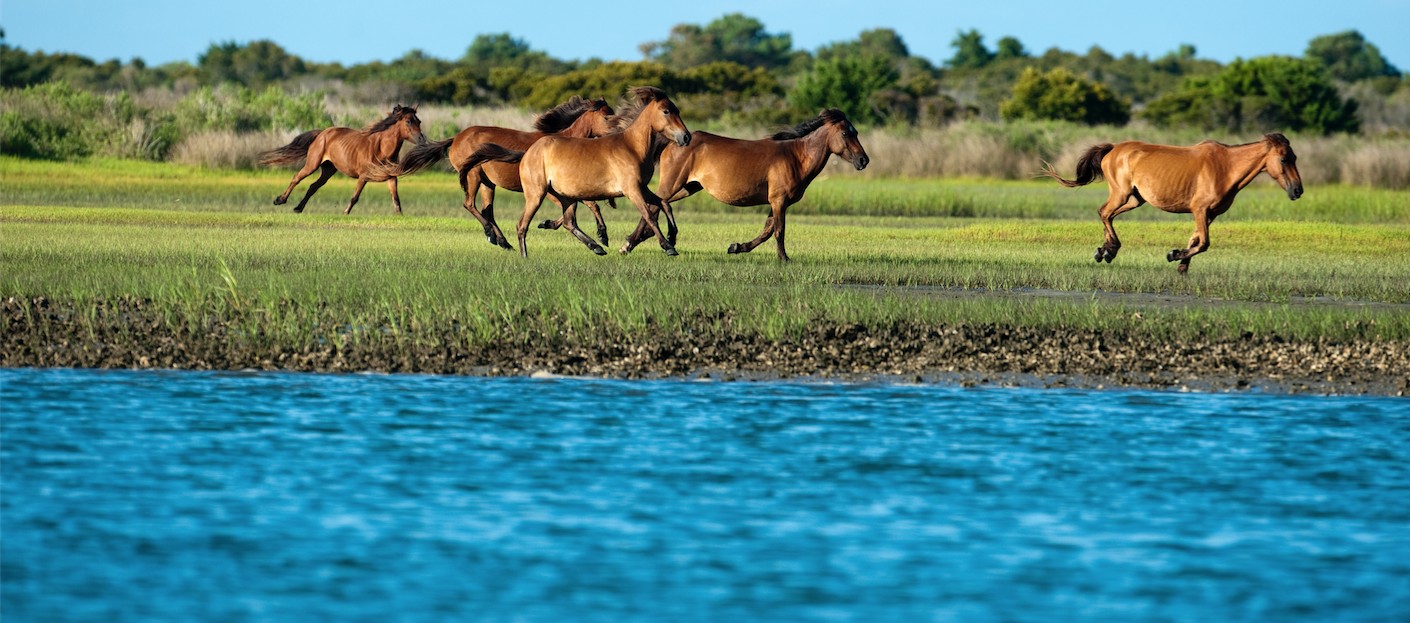 Crystal Coast Tourism Development Authority Request For Proposal - Public Relations