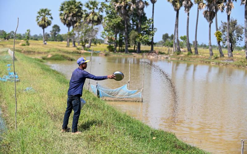 Marketing RFP issued By Organization WorldFish Center