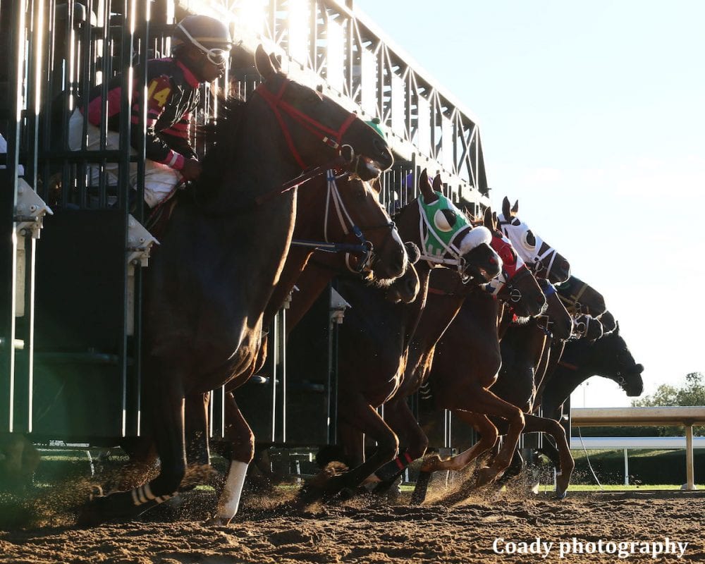 ADVERTISING RFP ISSUED BY THOROUGHBRED INDUSTRY