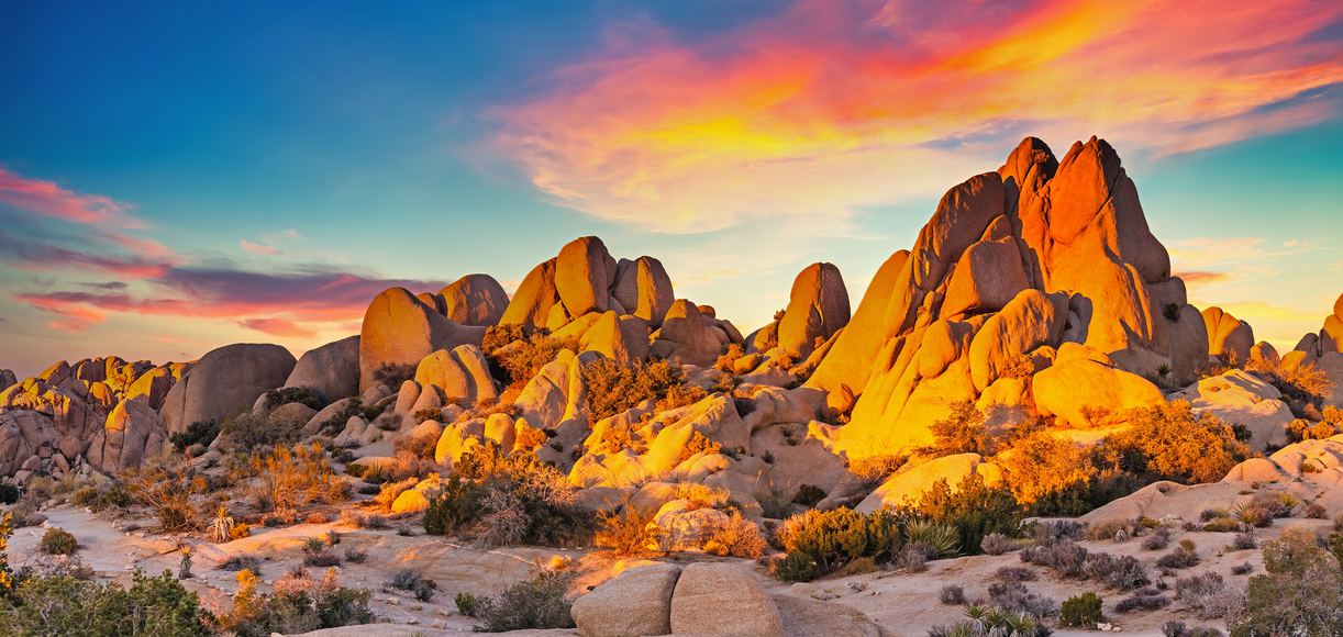 STATE OF CALIFORNIA MARKETING AND MEDIA ENGAGEMENT