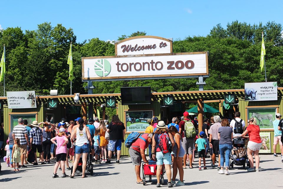 TORONTO ZOO REQUEST FOR PROPOSAL RFP 03 (2023-01) CREATIVE AGENCY OF RECORD