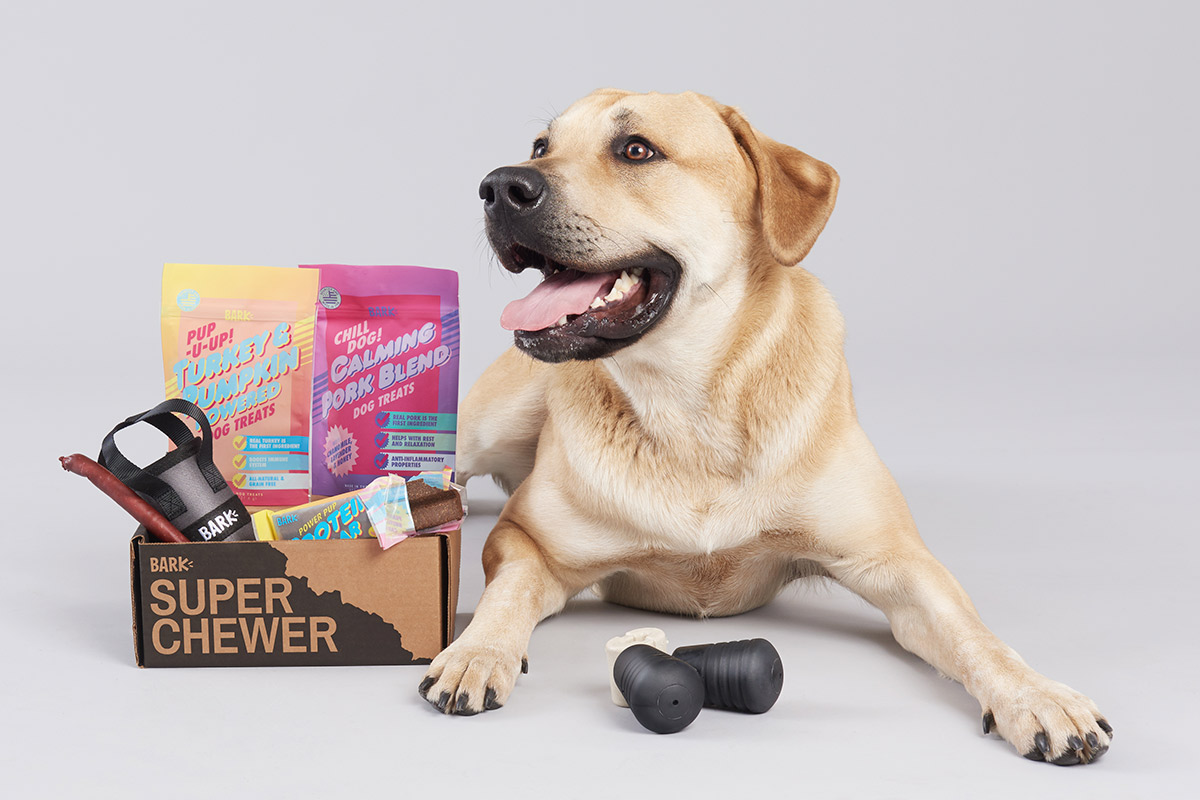 The Woof of Success: BarkBox's Digital Marketing Triumph